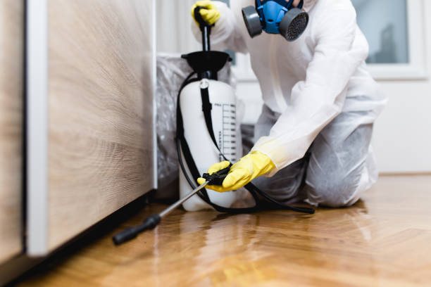Best Emergency Pest Control  in Johnson Lane, NV