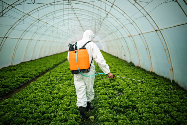 Best Residential Pest Control  in Johnson Lane, NV