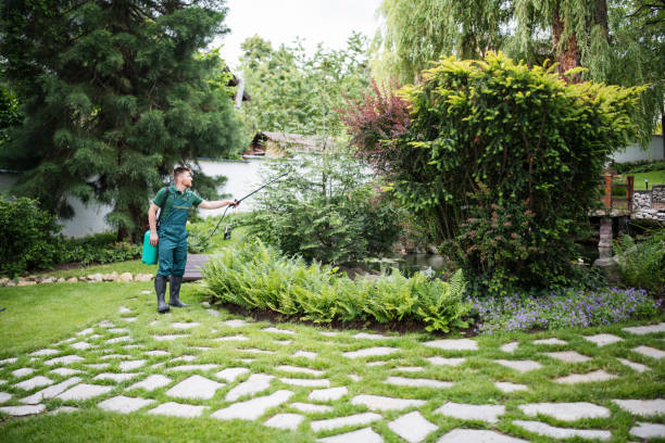 Best Best Pest Control Companies  in Johnson Lane, NV