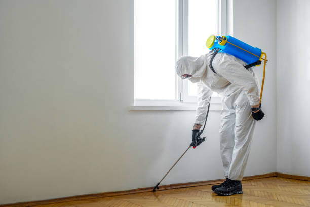 Trusted Johnson Lane, NV Pest Control Experts
