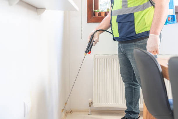 Best Best Pest Control Companies  in Johnson Lane, NV