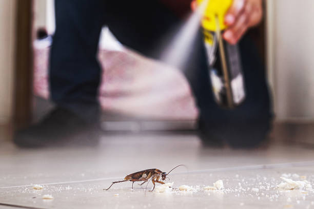 Best Pest Inspection Near Me  in Johnson Lane, NV