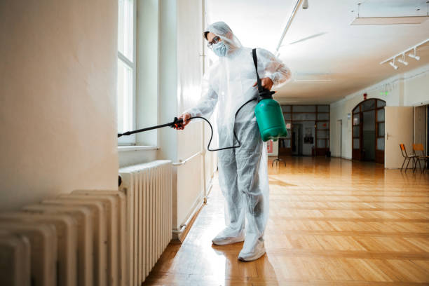 Best Commercial Pest Control Services  in Johnson Lane, NV