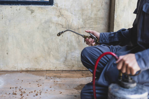 Best Affordable Pest Control Services  in Johnson Lane, NV